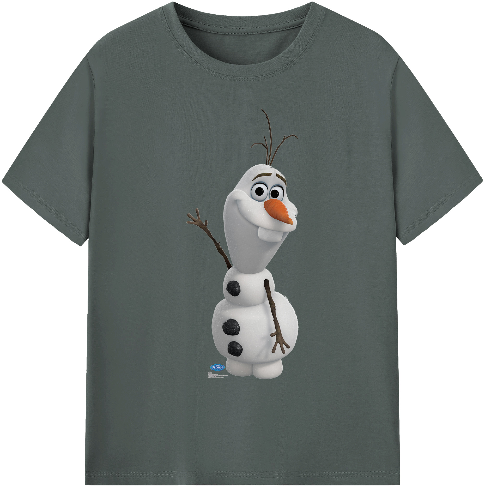 （画像用） アナと雪の女王 アンナ エルサ Frozen Anna Elsa 綿100％ メンズ半袖Tシャツ｜肌触りやわらか＆通気性